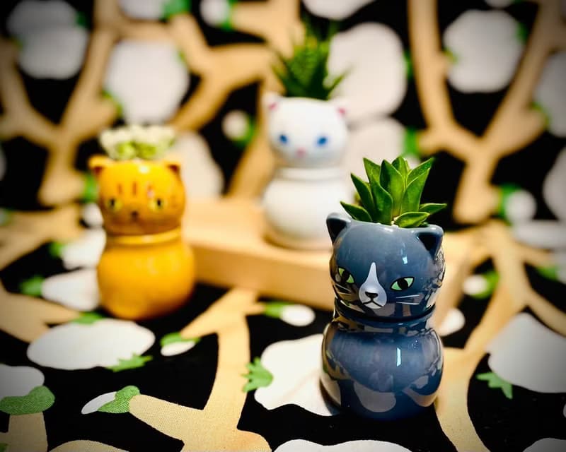 【Pinkoi瘋設祭限定】萌貓樂園_手作植栽陶瓷小盆栽組