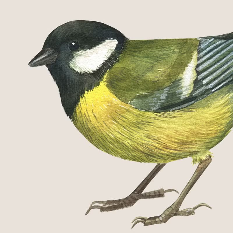 【數位】牡丹版畫海報牆畫廊 JPEG