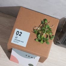 02小黑踏菜種子_入坑禮物盒