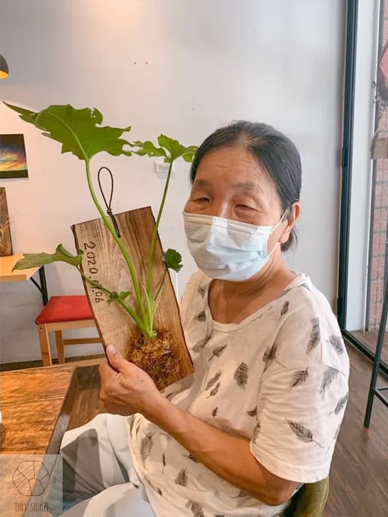 【體驗】台南【綠上板】有溫度的卡片・手作生日禮物