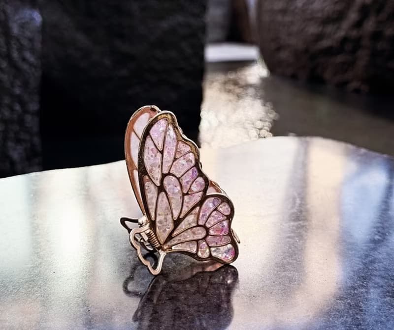 日系夢幻蝴蝶鯊魚夾 禮盒