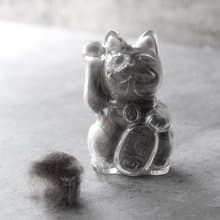 招財貓巴夫錢罌-透明-可收集貓咪毛