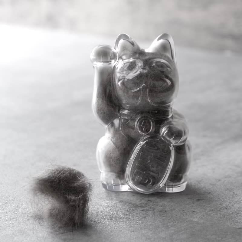 招財貓巴夫錢罌-透明-可收集貓咪毛