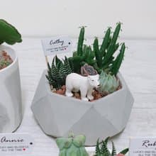 【24H寄出.超夯招財擺飾】繽紛鑽石水泥盆栽-組盆