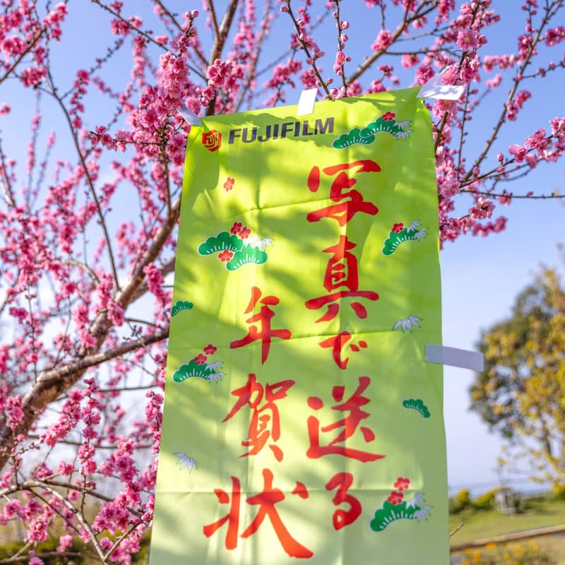 桑惠商號  昭和日本製 富士FUJIFILM 特別色印刷廣告旗幟 直式