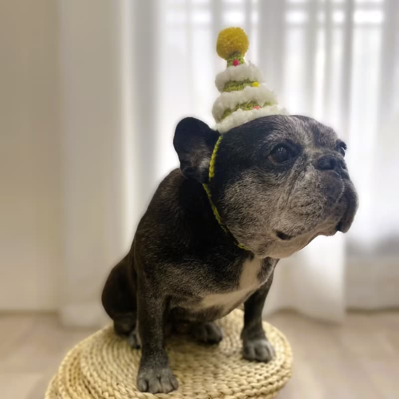 下雪的聖誕樹 編織帽 聖誕禮物 貓咪/狗狗 寵物聖誕帽 交換禮物