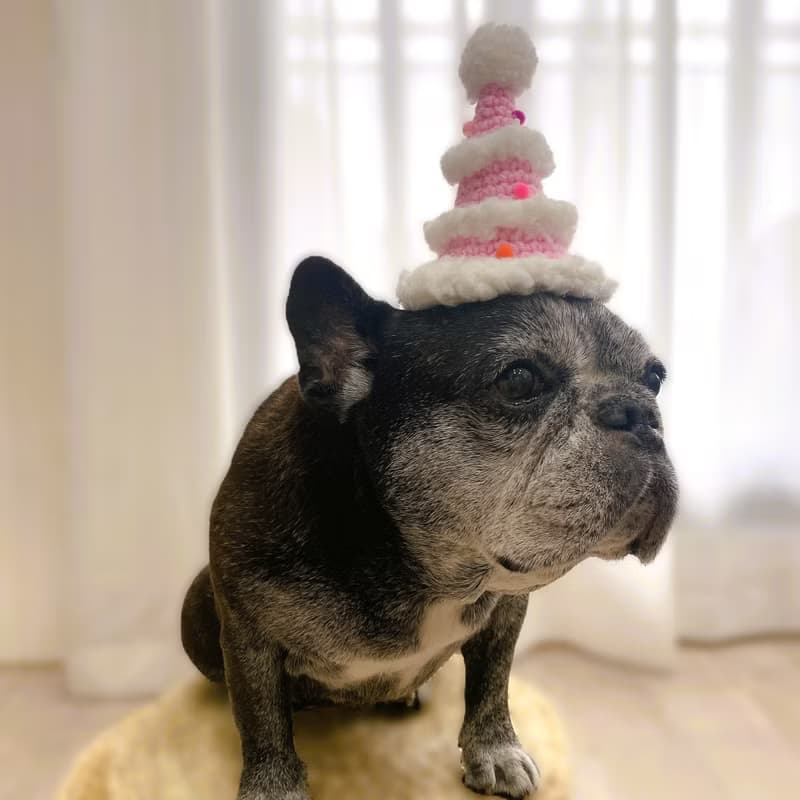 下雪的聖誕樹 編織帽 聖誕禮物 貓咪/狗狗 寵物聖誕帽 交換禮物