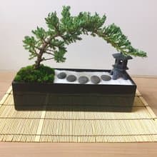 純自然 日式禪庭盆栽 原版竹簾石燈缺貨 枯山水 開幕贈禮 zen