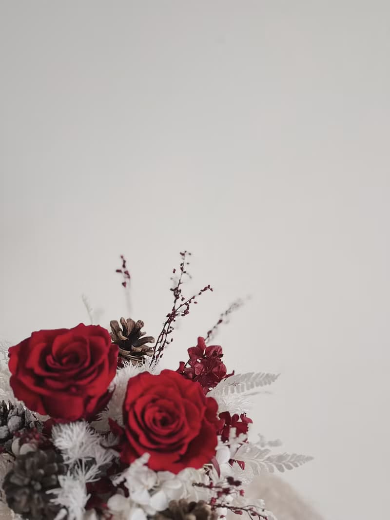 【永生玫瑰花盆花】• 情人節禮物/生日禮物/永生花/永生玫瑰花