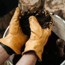 Barebones 經典工作手套 Classic Work Glove / 原色(黃)