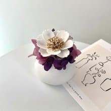 【艸弄花藝】擴香花禮盒-波斯菊 (附香氛精油)