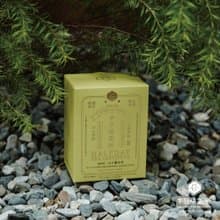 白玉蘭金萱花茶  台灣特產 以心烘焙