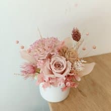 精品永生康乃馨盆花 情人節生日禮物企業贈品課七夕情人節花束中
