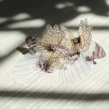 蝴蝶薄紗耳環一對&水鑽925銀耳針式 pierced or clip-on earring
