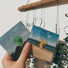 【雛菊之盛夏】透明款結他撥片 Guitar Pick