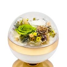 花樣時光圓舞燈 - 翡翠綠