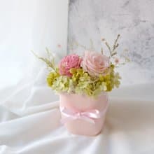 【小盆花】盆栽/粉色/不凋花/永生花/乾燥花/七夕/情人節