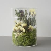 勿忘我 植物香氛系列