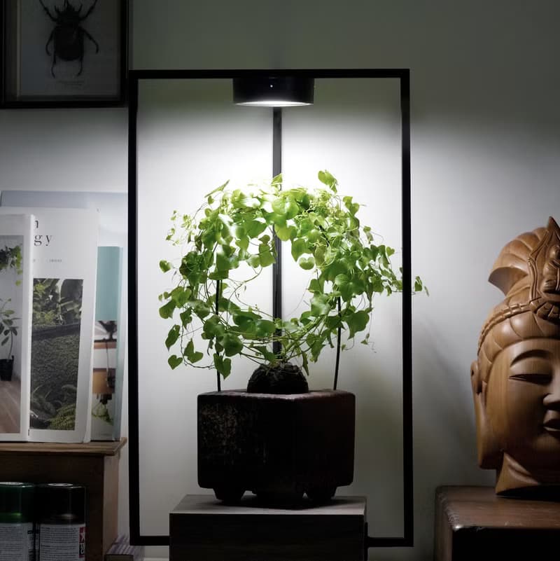 ONF MIST O 植霧光 - 全光譜LED磁吸植物燈 植栽 室內植物