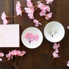 冷感桜平盃ペアセット　温度で色が変わる季節を楽しむ器