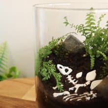 【微景觀】氣候變化時 - 蕨類組盆/交換禮物/恐龍化石
