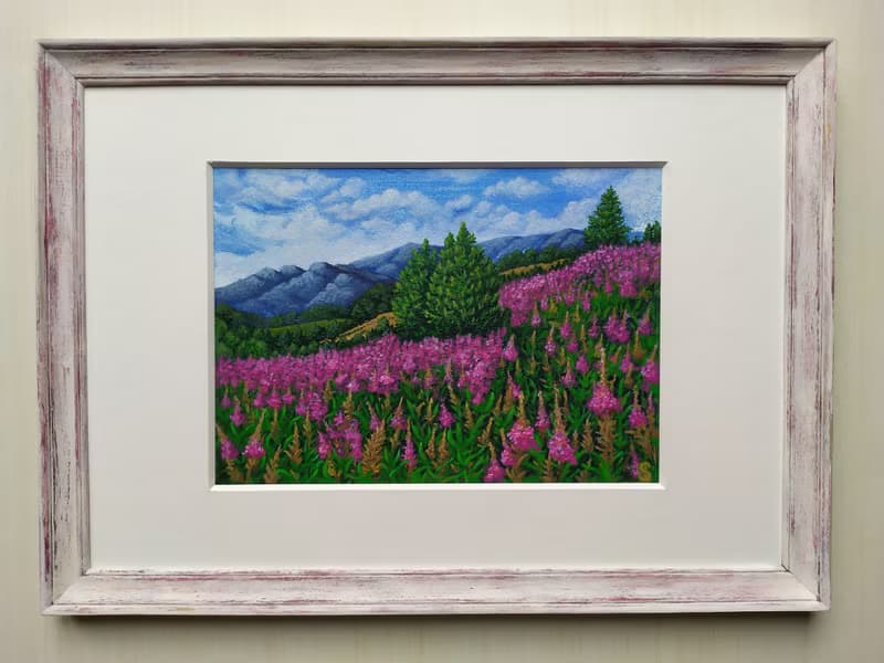 盛開的阿爾泰山。一片生氣勃勃的紫色柳蘭田。獨一無二的藝術品