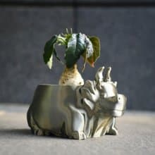 【小肥龍】3d盆器 塊根盆 多肉盆  3d列印 白馬城 象牙宮 盆