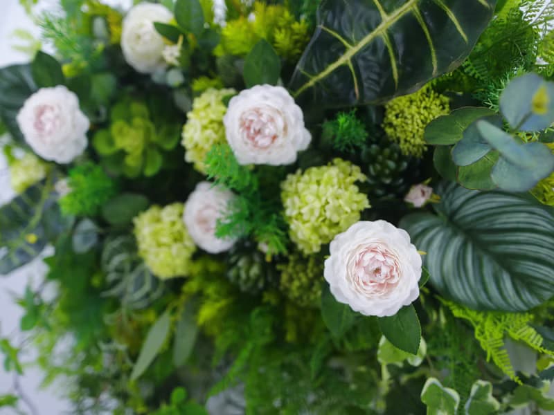 茶花綠植栽橫長生態壁飾 免運專人配送限雙北市 其餘地區需補運費