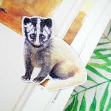 臺灣特有亞種 臺灣白鼻心 繪畫PVC防水大貼紙