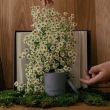 It's Saturday 書紙茶香調 手工水泥杯大豆蠟燭 BOOK100 紙上城市