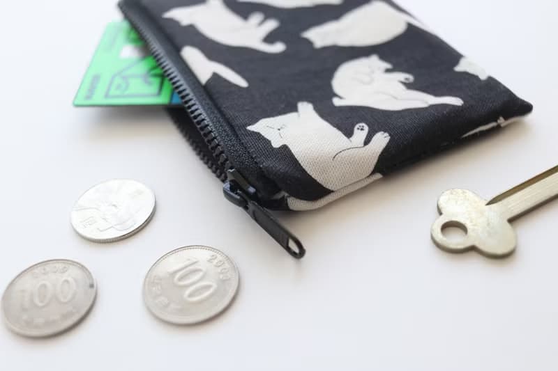 big big cat coin card pouch - one day (black)