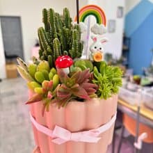粉色可麗露造型多肉組盆 開幕誌慶 新居落成 交換禮物