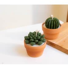 【辦公小物】小多肉蠟燭-植物大豆蠟燭/JUNO Candle