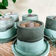 【手作水泥盆】小琉球的海小圓盆/ 盆器(不含植栽)