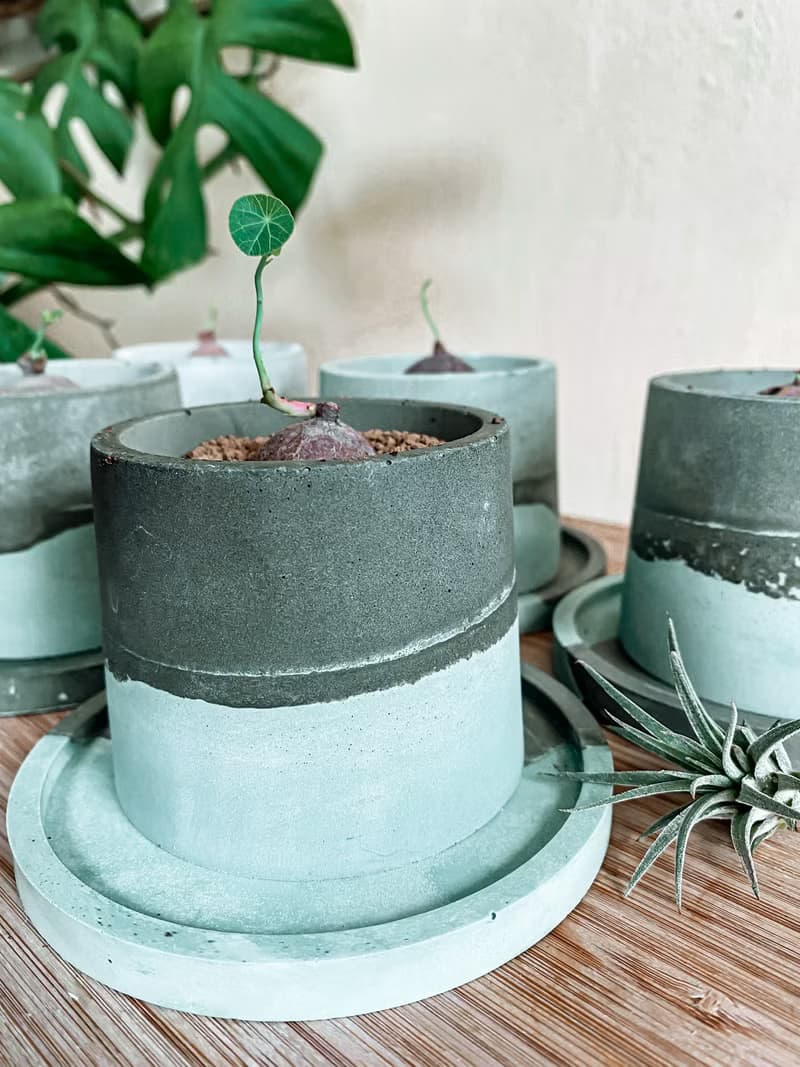 【手作水泥盆】小琉球的海小圓盆/ 盆器(不含植栽)