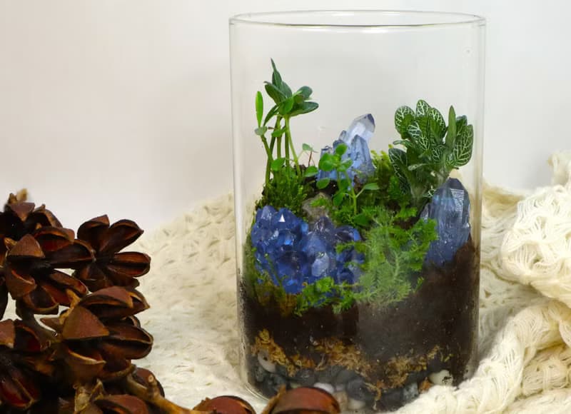 【微景觀】蘚晶秘境 - 室內植物/生態瓶/生日禮物/水晶
