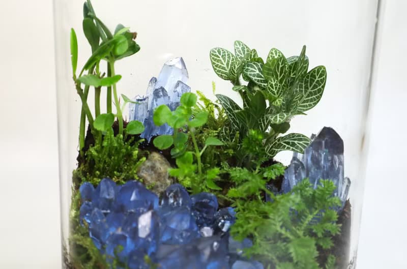 【微景觀】蘚晶秘境 - 室內植物/生態瓶/生日禮物/水晶
