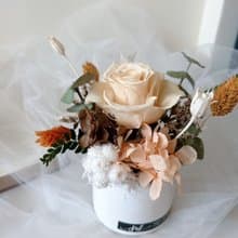 乾燥花 永生花 小盆花