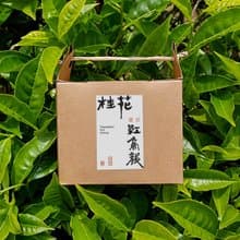 桂花紅烏龍 | 茶包10入【熟韻桂香】