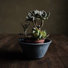 冬季的羊卓雍措・敞口花盆2