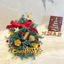不凋小小聖誕樹 夜燈 附禮盒及電池
