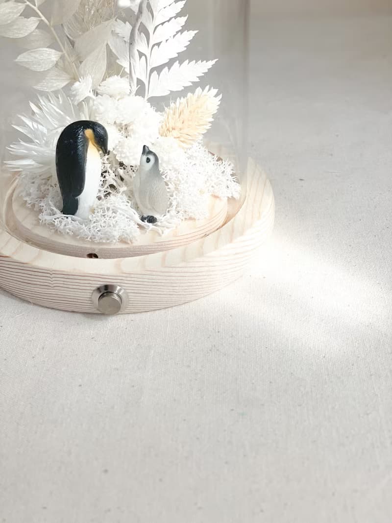 企鵝家族蒲公英雪白世界 x 永生乾燥花玻璃燈罩
