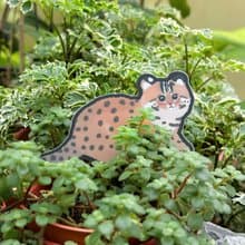 石虎 霧面PVC貼紙 大張 安全帽貼紙筆電貼紙機車貼紙行李箱貼紙