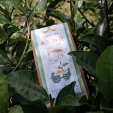 【端午禮品】友善小農作物│有機白魚紅茶/台灣茶/紅玉/有機紅茶