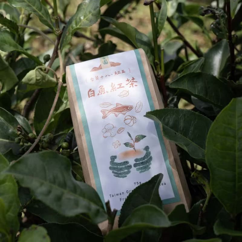 【端午禮品】友善小農作物│有機白魚紅茶/台灣茶/紅玉/有機紅茶