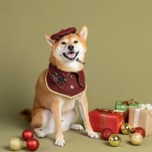 紅色假期・翻轉領巾・雙面節慶領巾組