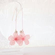 Genuine Sakura ✕ Cotton Pearl American Earrings