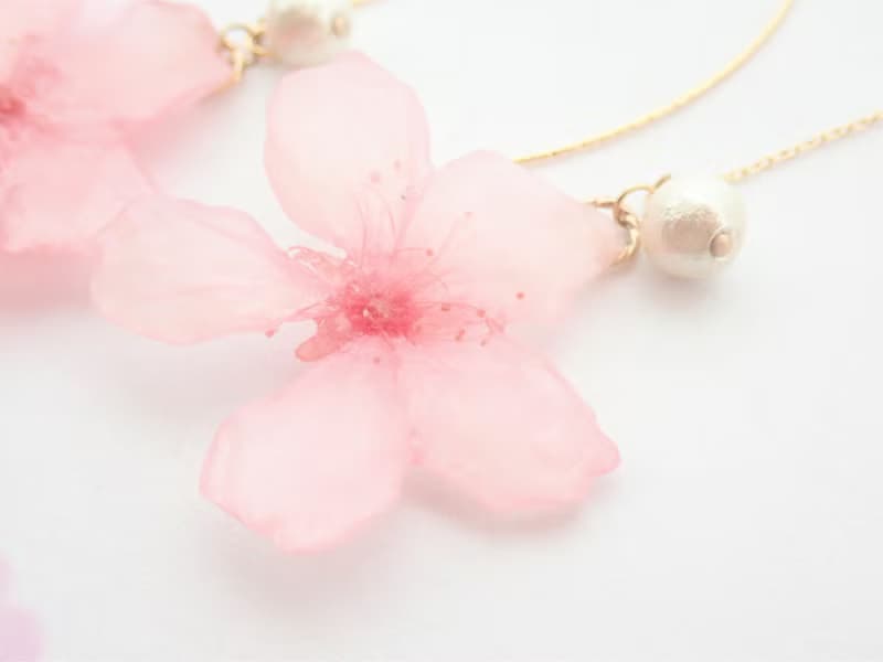 Genuine Sakura ✕ Cotton Pearl American Earrings