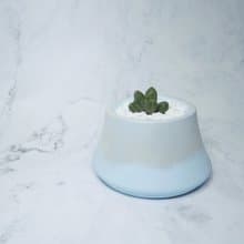 ∣銀色漸層富士山多肉造型植栽∣手作泥盆/接單訂製商品
