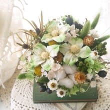 小熊寶貝.綠色系.乾燥花.永生花.情人節.生日花禮